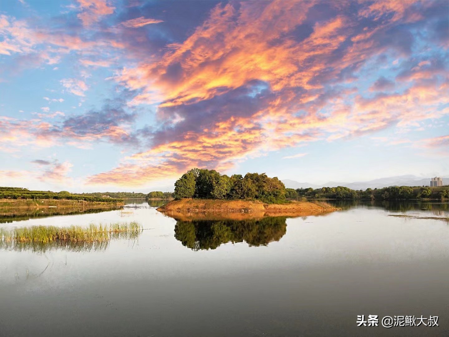 金义都市新区招聘,金义都市新区未来5年规划