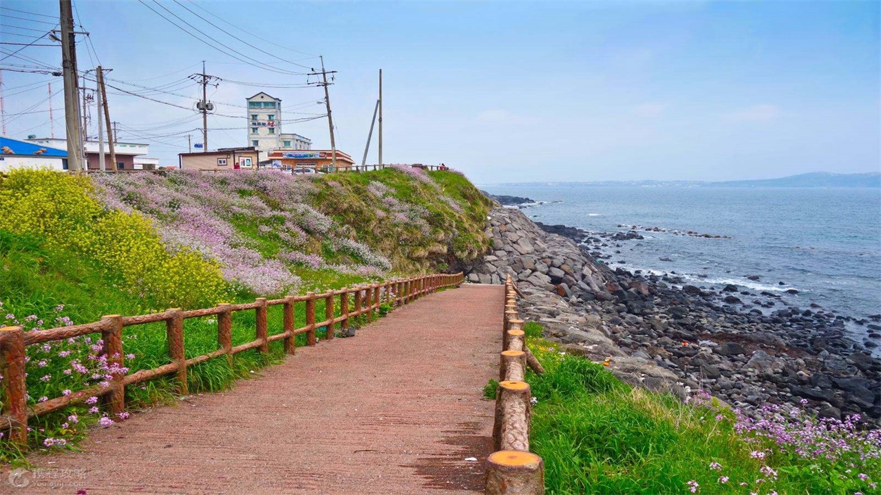 失去中国游客完整版,失去中国游客的国家现状