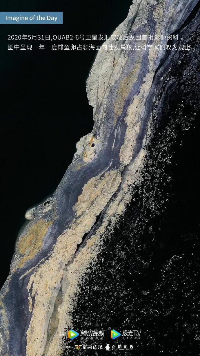 平面海报都有啥,2020年21张海报回顾这一年