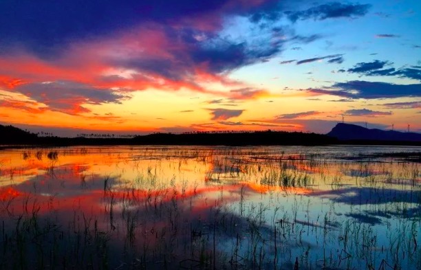 秦观最好看的一首诗,秦观写风景的诗