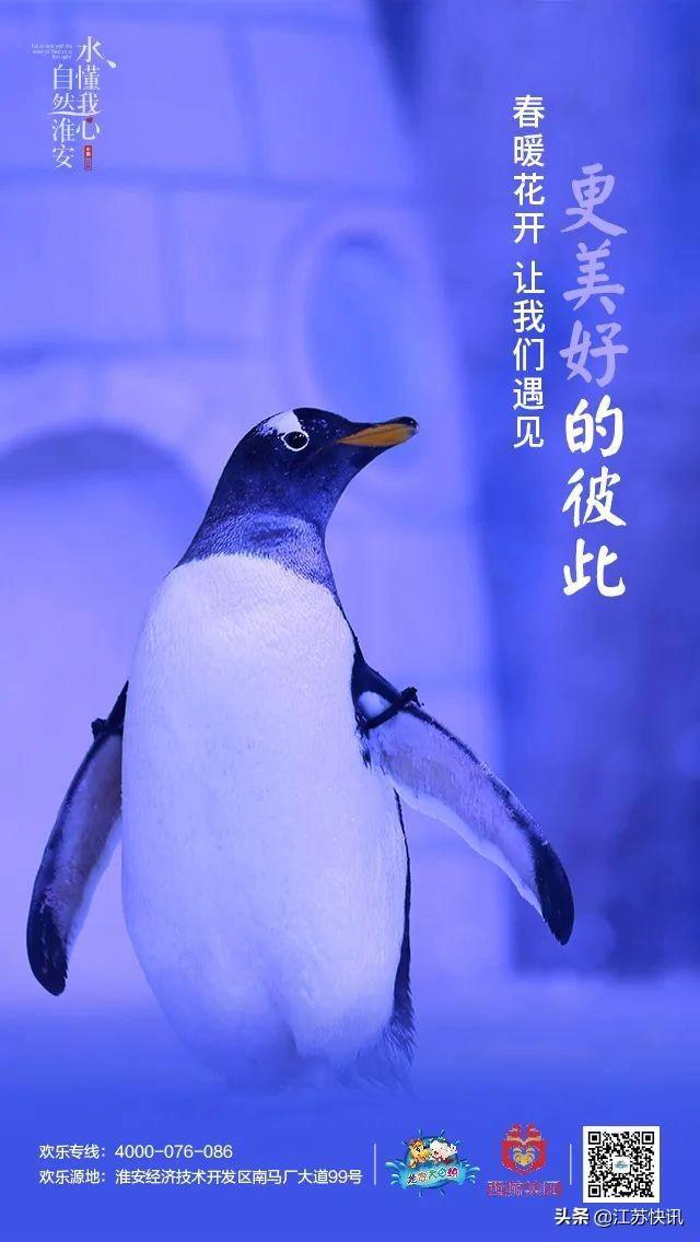 龙宫大白鲸早上几点开门,大白鲸龙宫最新消息