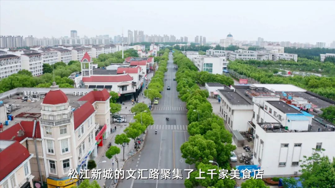 五大松江新城,松江五大新城之首