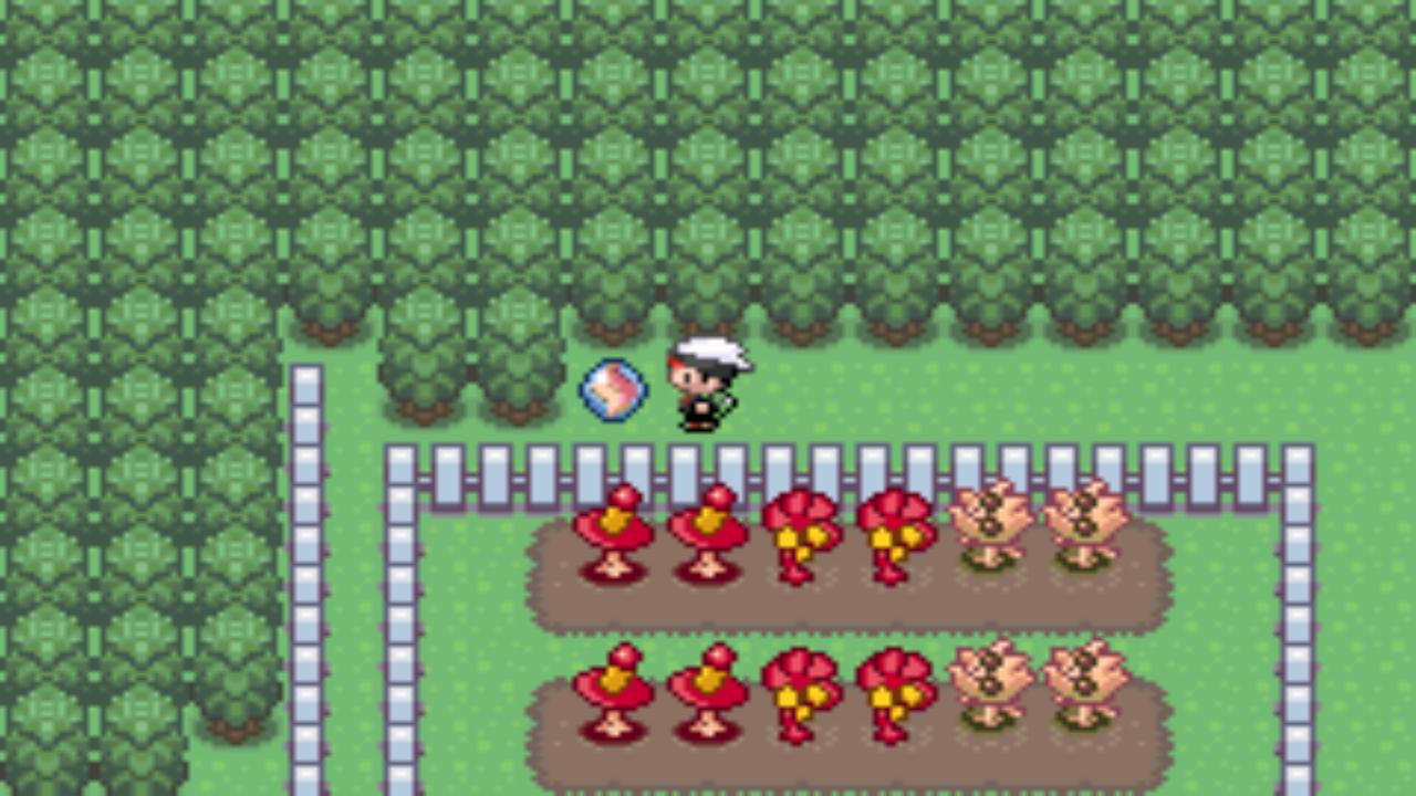 口袋妖怪究极绿宝石4第六十二章,口袋妖怪究极绿宝石4全部攻略