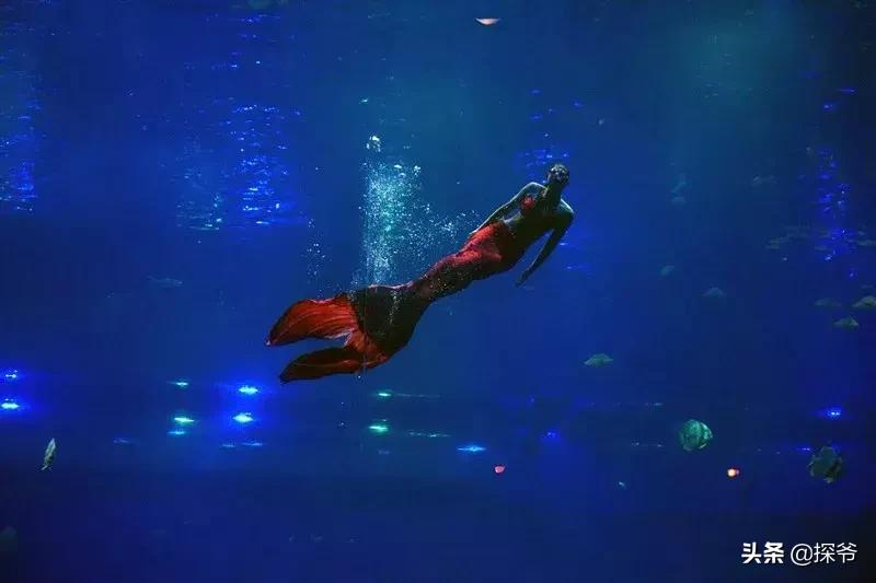 8-12岁重庆萌妹快来免费学潜水画海洋绘画还可得1大1小亲子票