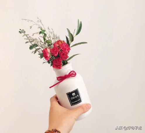 每日经典语录简短,短小金句语录