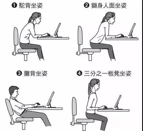 德国变态人体工学腰靠，像一双手托着腰那么舒服，车家办公全能用