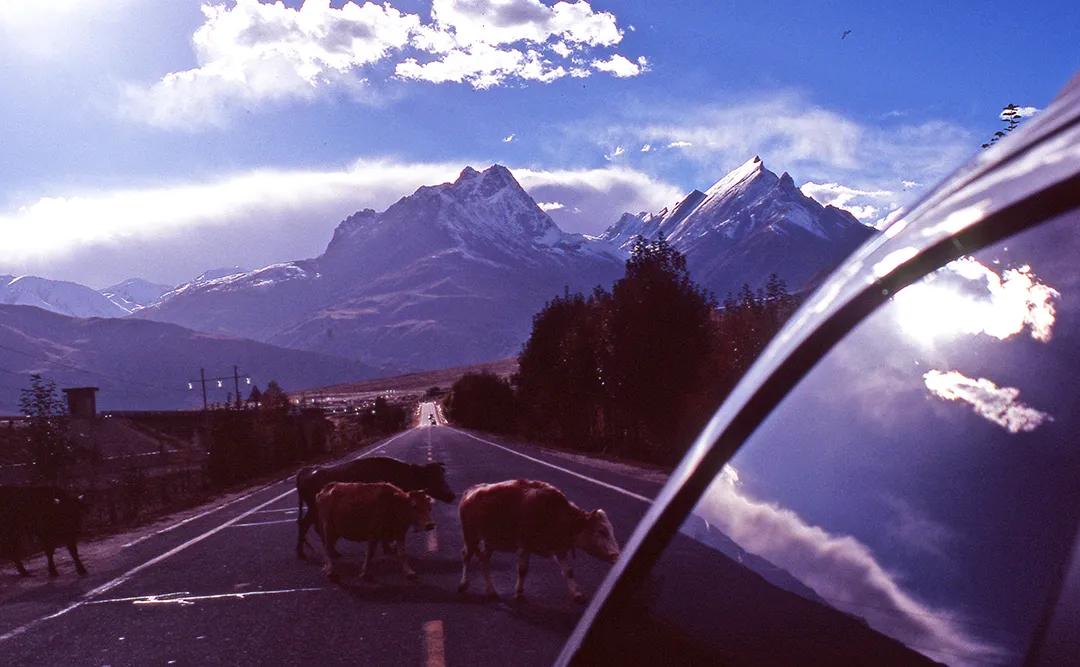 只要思想自由,只要开心坐在家里也可以周游世界