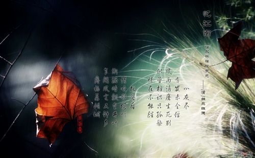 绝美纳兰词后续,绝美纳兰词