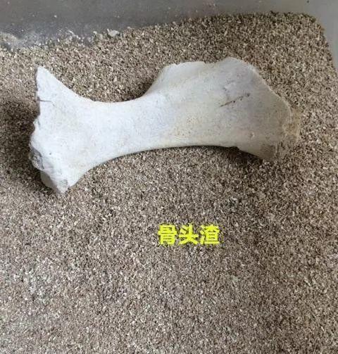 骨头能当养花的肥料吗,吃完的骨头不要扔