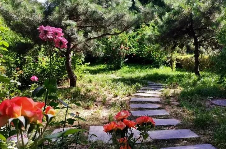 石家庄二中南校区怎么样,石家庄二中怎么样好不好