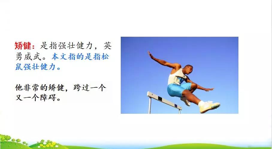 五年级语文第17课松鼠讲解,五年级上册第17课松鼠教材详解