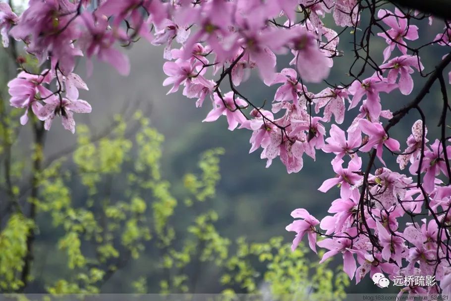 药王谷里觅旧迹（原图文）