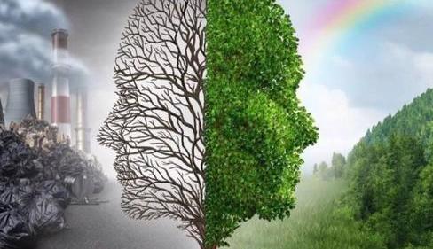 徒弟每月工资多少钱,徒弟每月收入