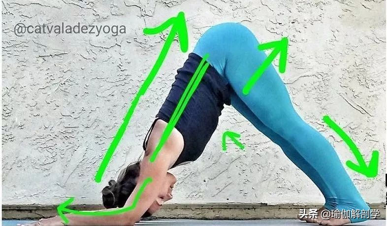 10个最新瑜伽体式正误对比图,瑜伽最容易错的正误对比图