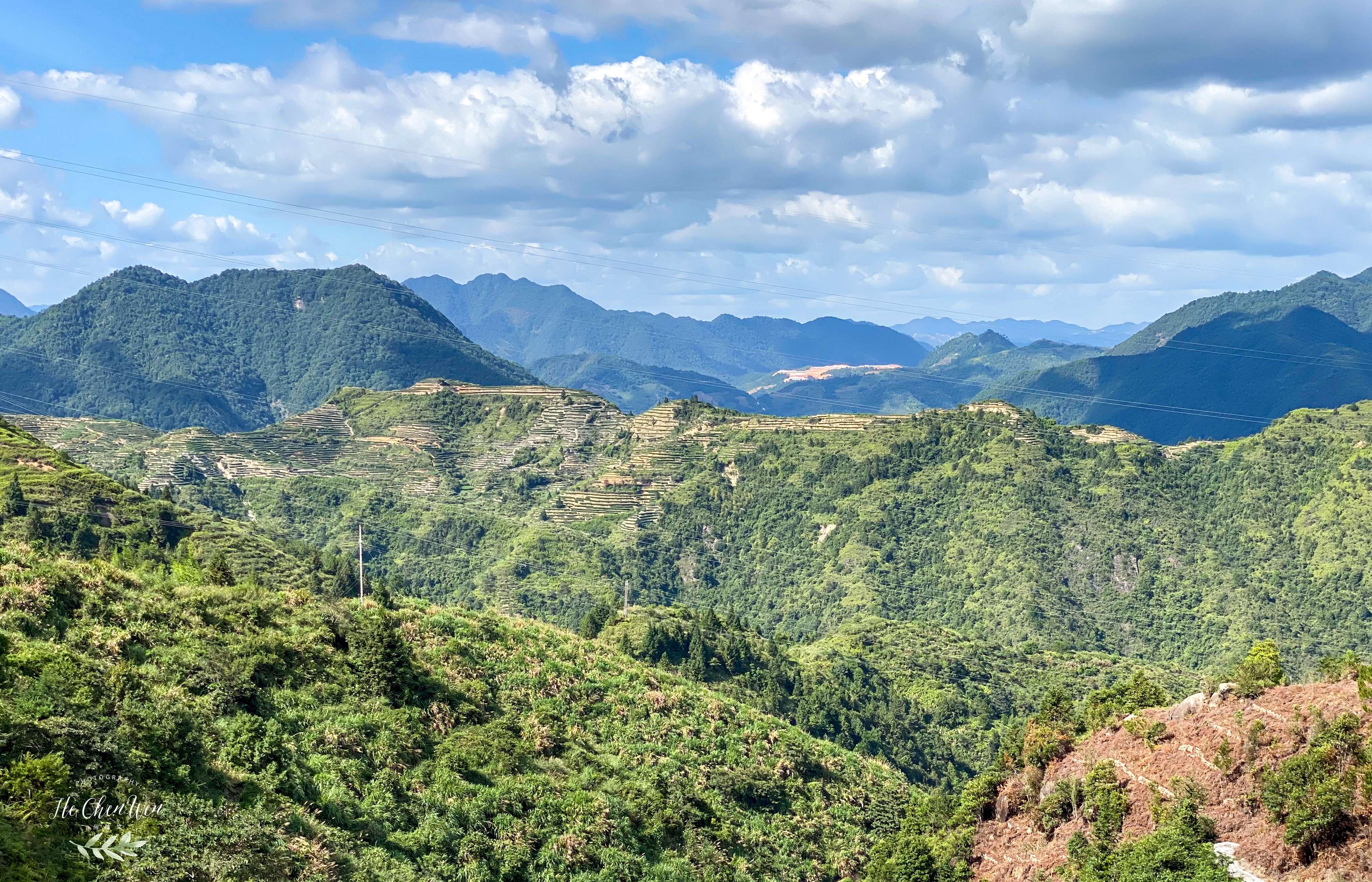 中国十大品牌铁观音茶叶,铁观音福建中国十大名茶
