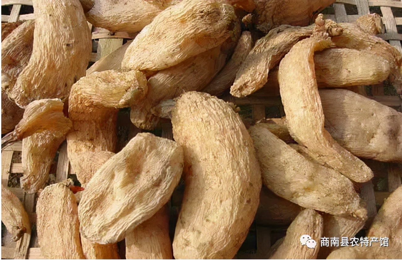 商南县天麻,商洛商南土特产