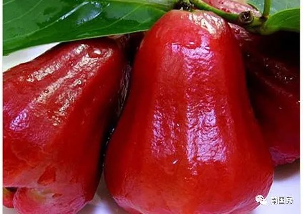 三亚游玩可以带什么特产回去,三亚特产大全图片