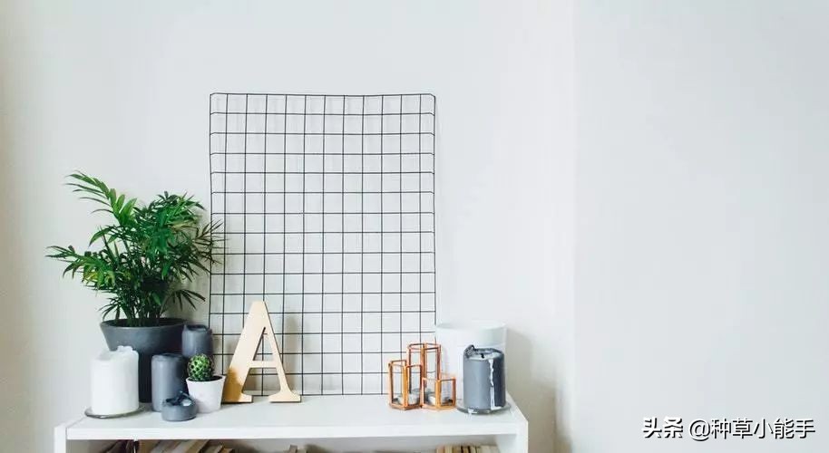 全球购买神仙水,230元的神仙水是真的吗