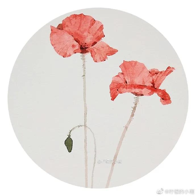 分享一组好看的小清新水彩插画,不来看看简单水彩小插画的教程吗