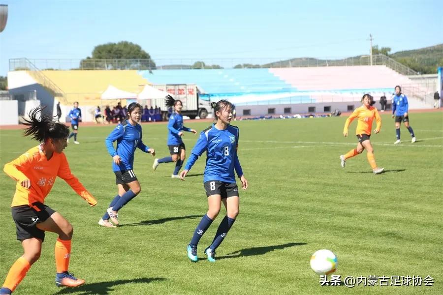 内蒙2024足球夏令营,内蒙古青少年足球夏令营队标