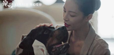 80万人想看，不只因为它凑齐半个娱乐圈