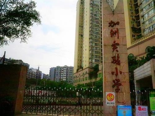 重庆小学学费一年多少钱,重庆小学为什么这么贵