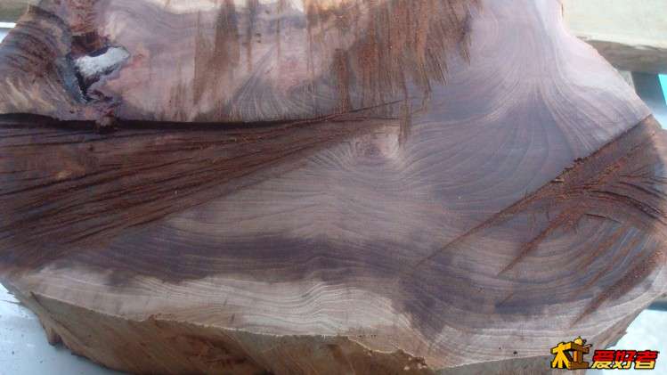 中国十大珍贵木材排行榜,中国十大珍贵木材