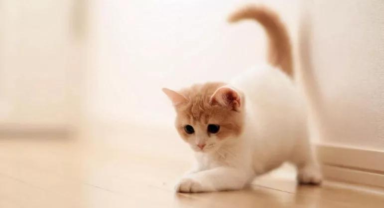 友情的尽头是孤独,一段渐行渐远的友情