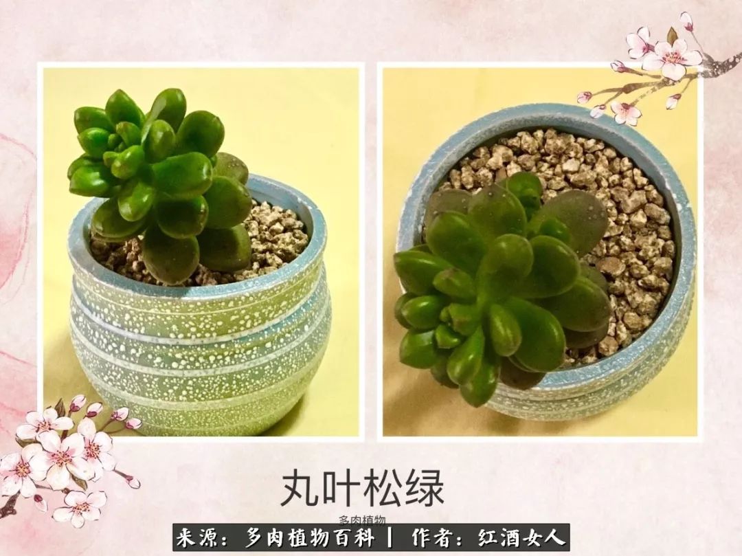 记录走过的美景留下美好的回忆,记录走过的每一段美好时光