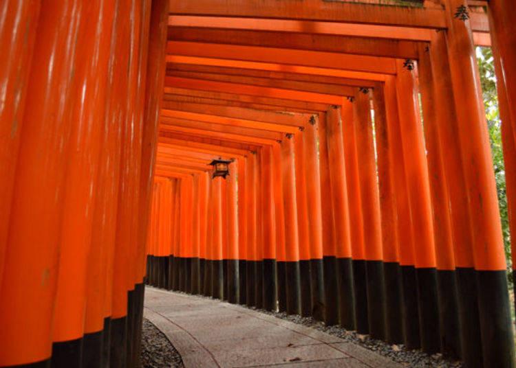 伏见稻荷大社简介,伏见稻荷大社参数