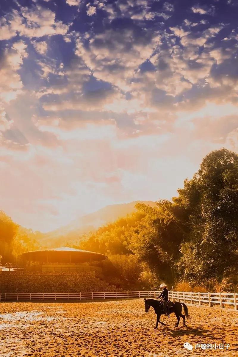 度假胜地推荐享受悠闲度假时光,国庆假期必打卡度假胜地