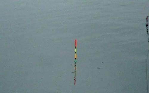 晚秋野河垂钓怎么选择最佳钓点,水浑野河垂钓怎么选择最佳钓点