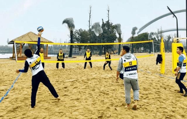 看看纽约中央公园的美景,真实的纽约中央公园