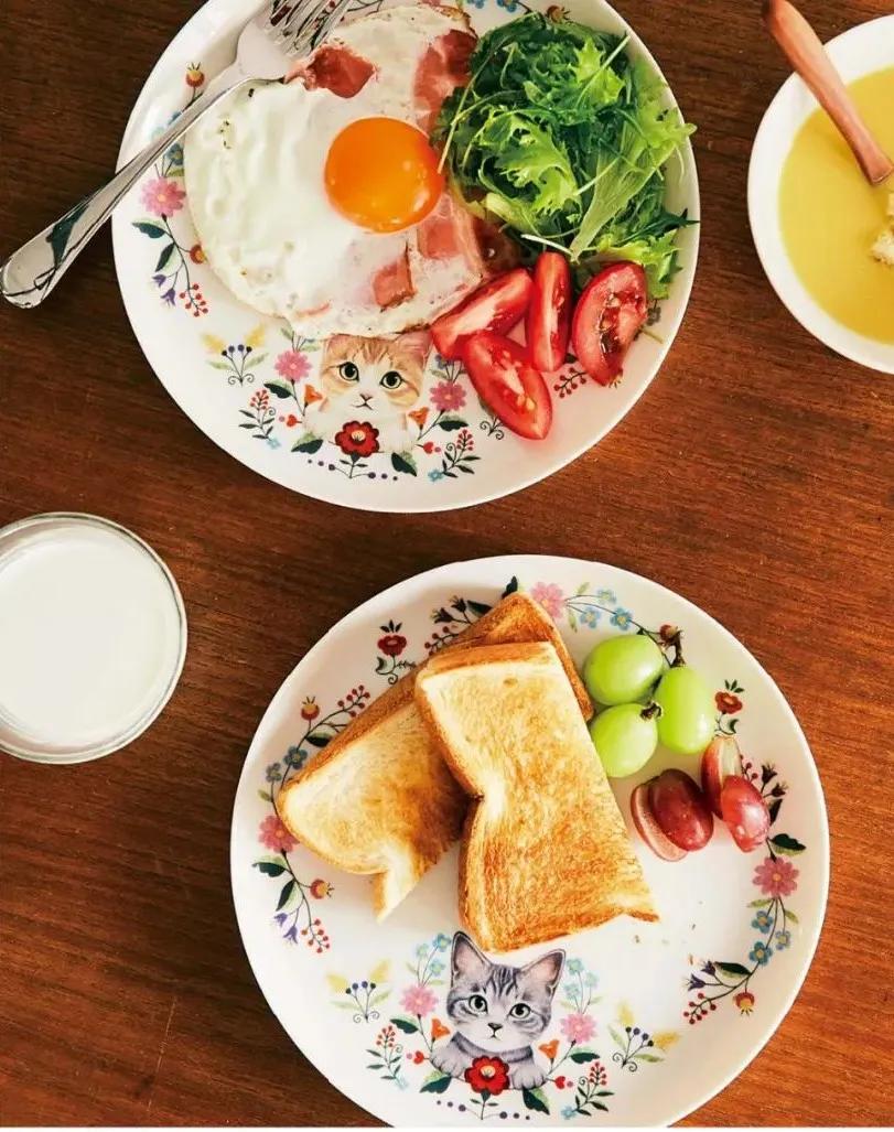 日本人又来骗猫奴们的钱啦！但我心甘情愿掏钱了！