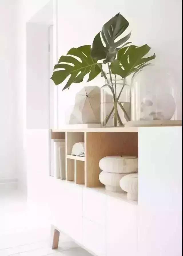 消除新房甲醛的是哪种盆景植物,吸附甲醛最好植物