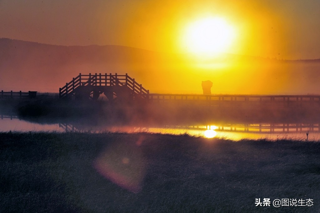 写出最真实的塞罕坝，永远是居住在塞罕坝的主人，请听他们如何说
