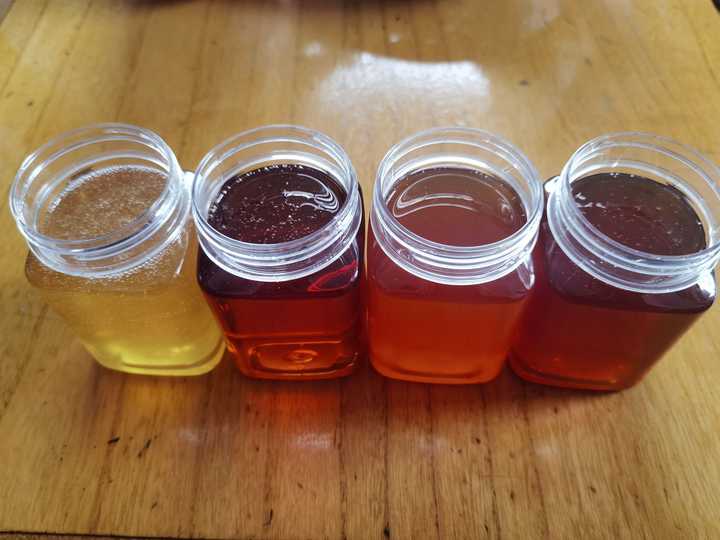 讨论一下什么是爱,讨论一下什么是性价比