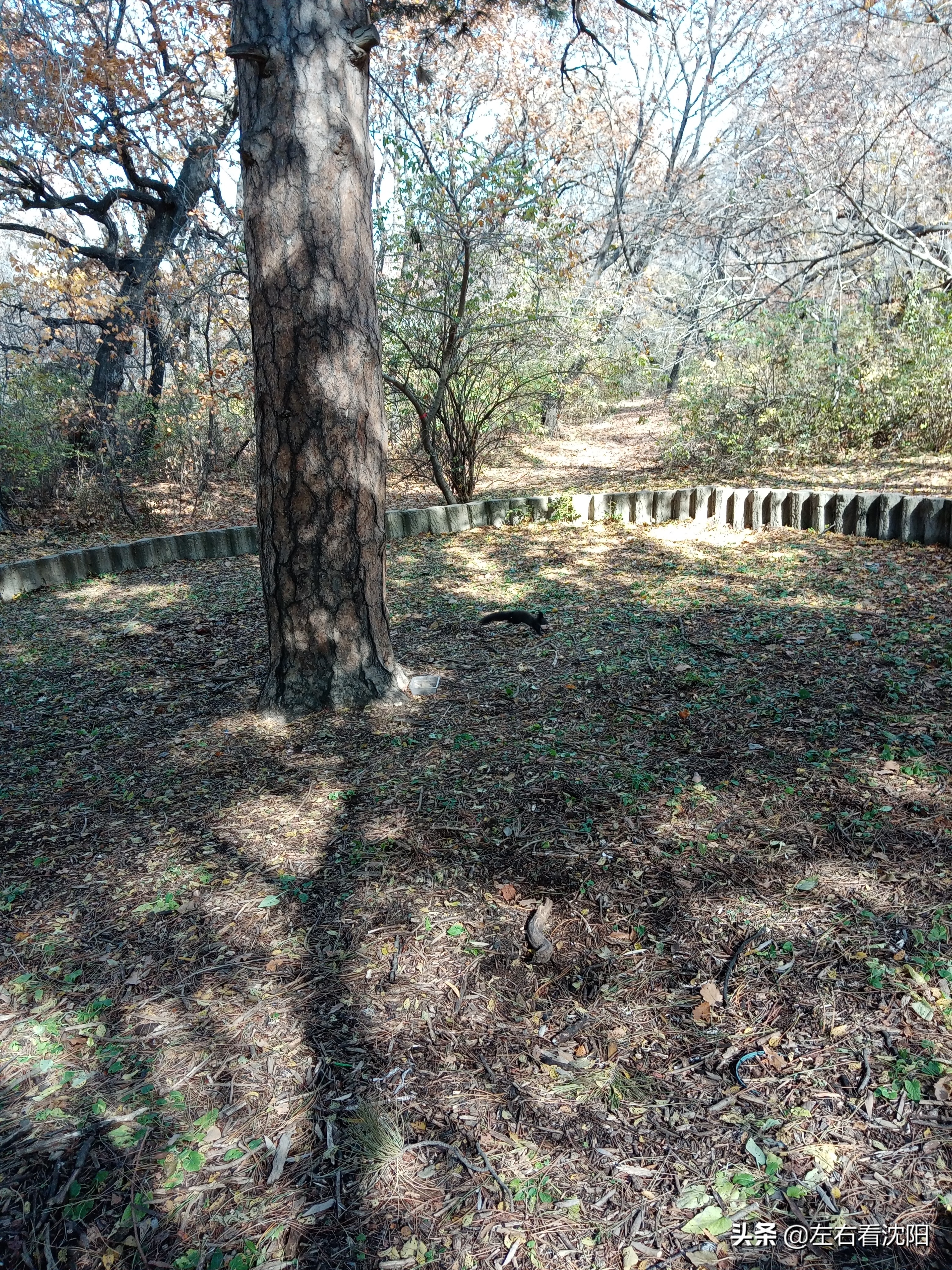 秋季沈阳北陵公园有啥好玩的,漫步沈阳北陵公园湖水边