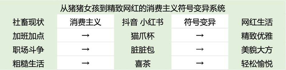 猪猪女孩有多蠢,猫爪杯就有多火