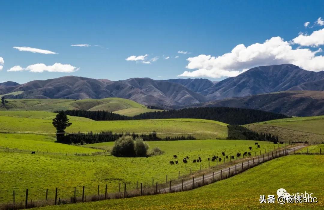带你看新西兰风景,去看一次新西兰风景