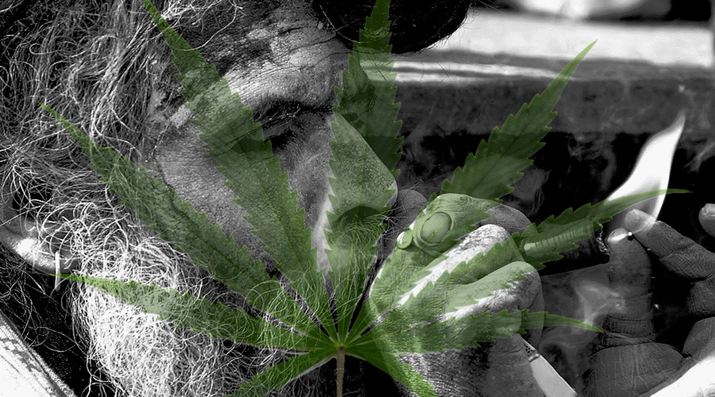 毒检知识：*麻大**，罪恶之种