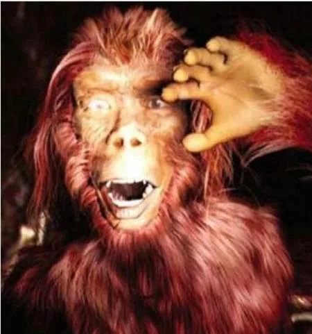 地球十大巨型未知生物,地球未知生物档案解密