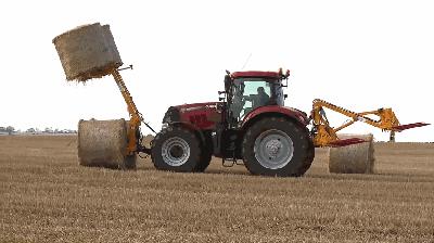 每天30分钟背初中单词,每天1分钟背单词