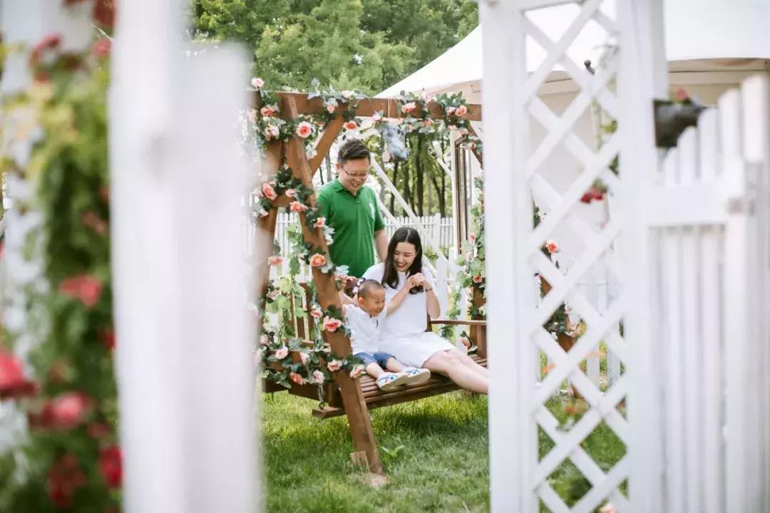 北京菊花花海,北京赏花好去处国际花港