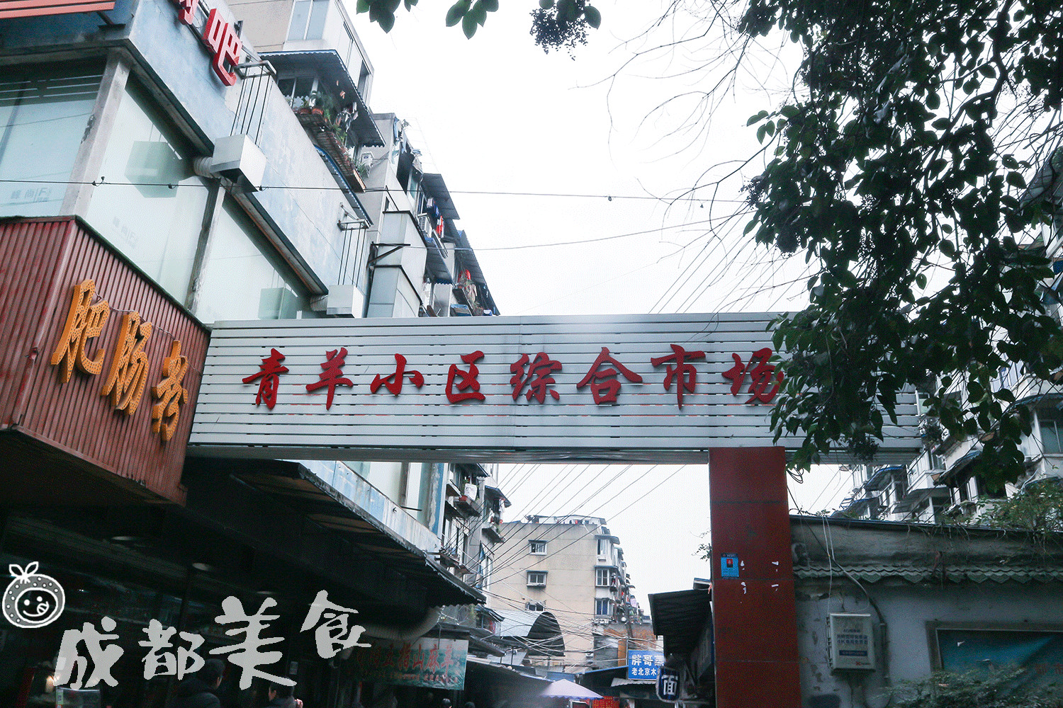 被学生吐槽最多的中医大老校区,没想到还是个“宝藏地”