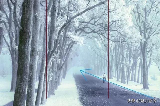 拍摄构图中常用的5种景别,摄影技巧三分法