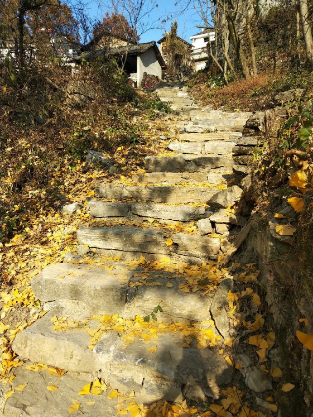 大唐绝唱—惊才绝艳的小鱼