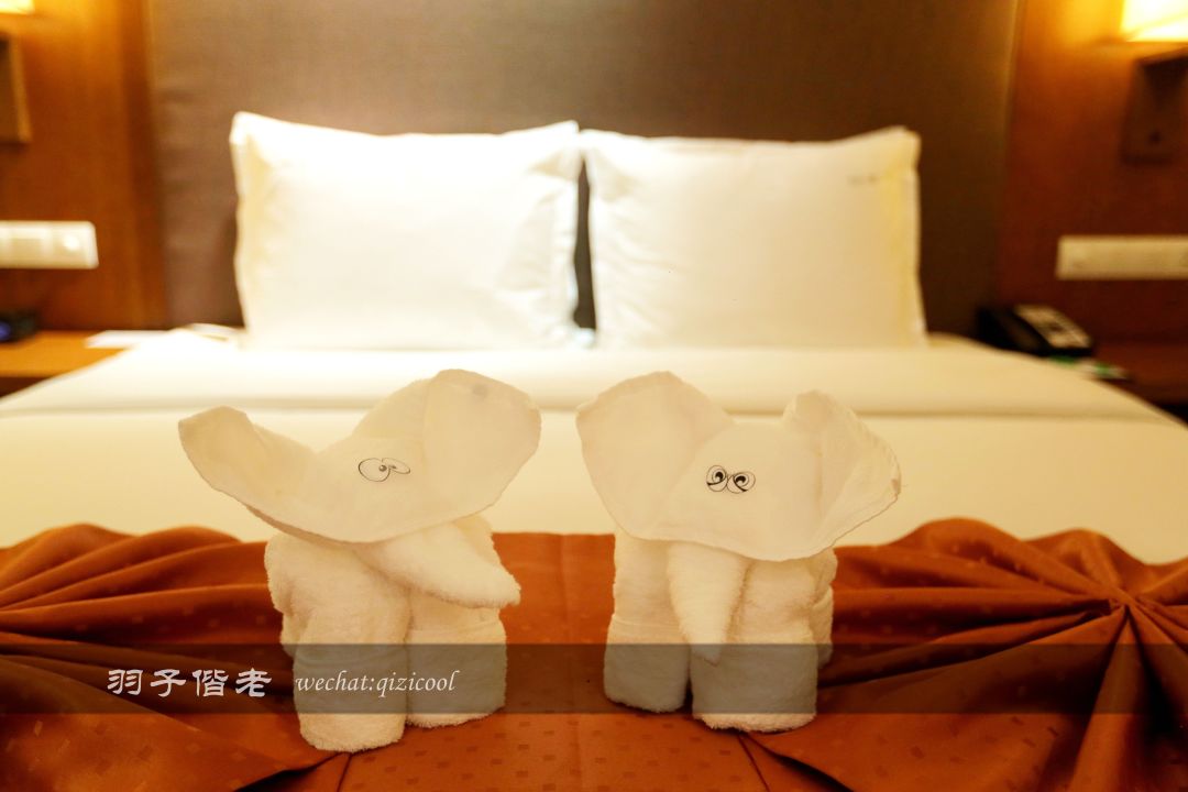 长白山滑雪最佳旅游时间,长白山天池漂流滑雪