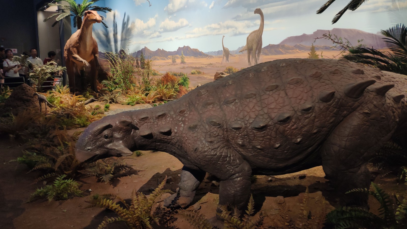 海洋博物馆带孩子游玩攻略,国家海洋博物馆最全攻略来了