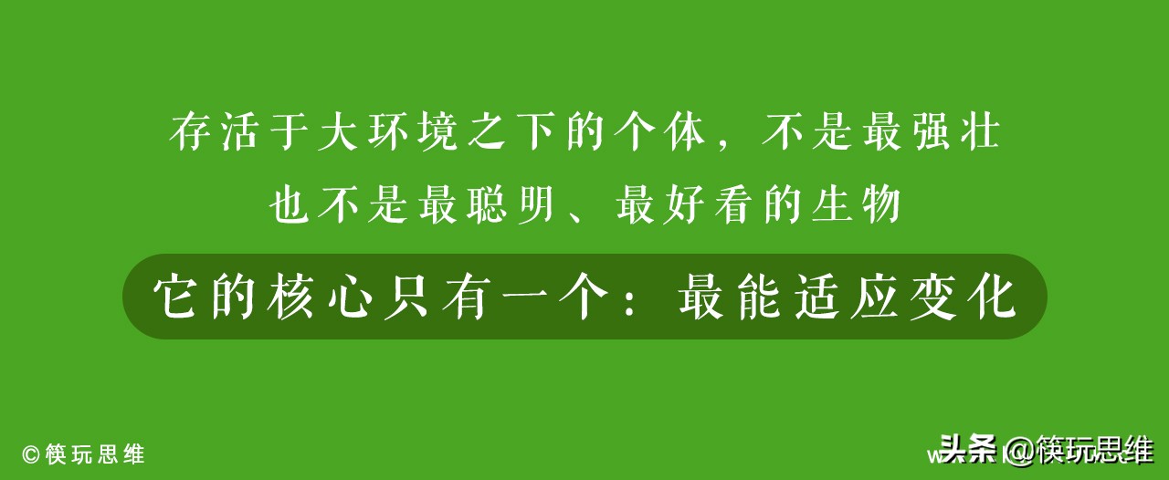 周黑鸭现在还需要加盟吗,周黑鸭为什么加盟费500万